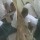 VIDEO: SECONDARY SCHOOL STUDENTS SERIOUSLY HAVING SEX IN THE CLASS WHILE THEIR TEACHER IS TEACHING